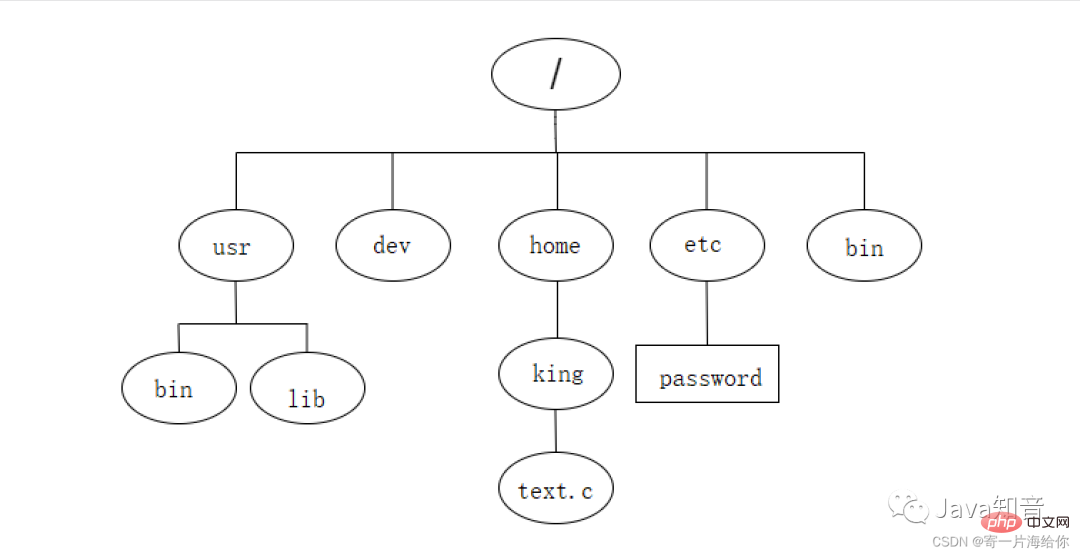 万字详解 Linux 常用指令（值得珍藏）